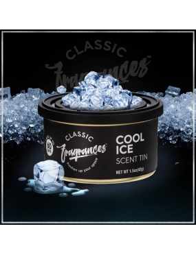 Oro gaiviklis skardinėje COOL ICE Designer Fragrances